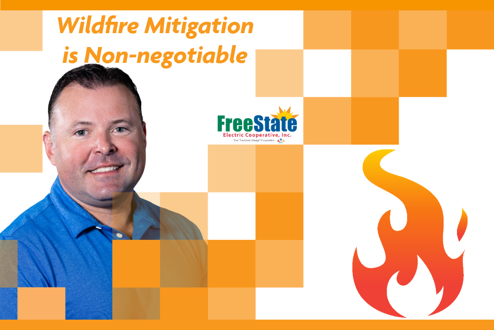 Wildfire Mitigation
