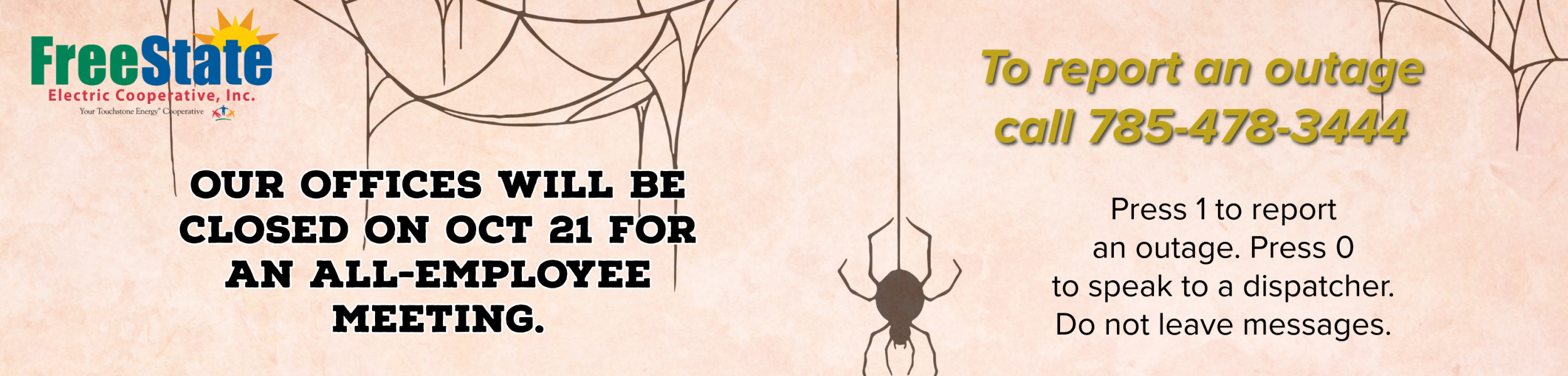 spider