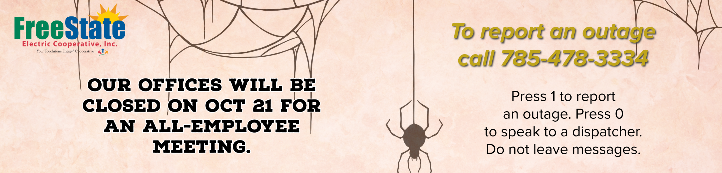 spider and web